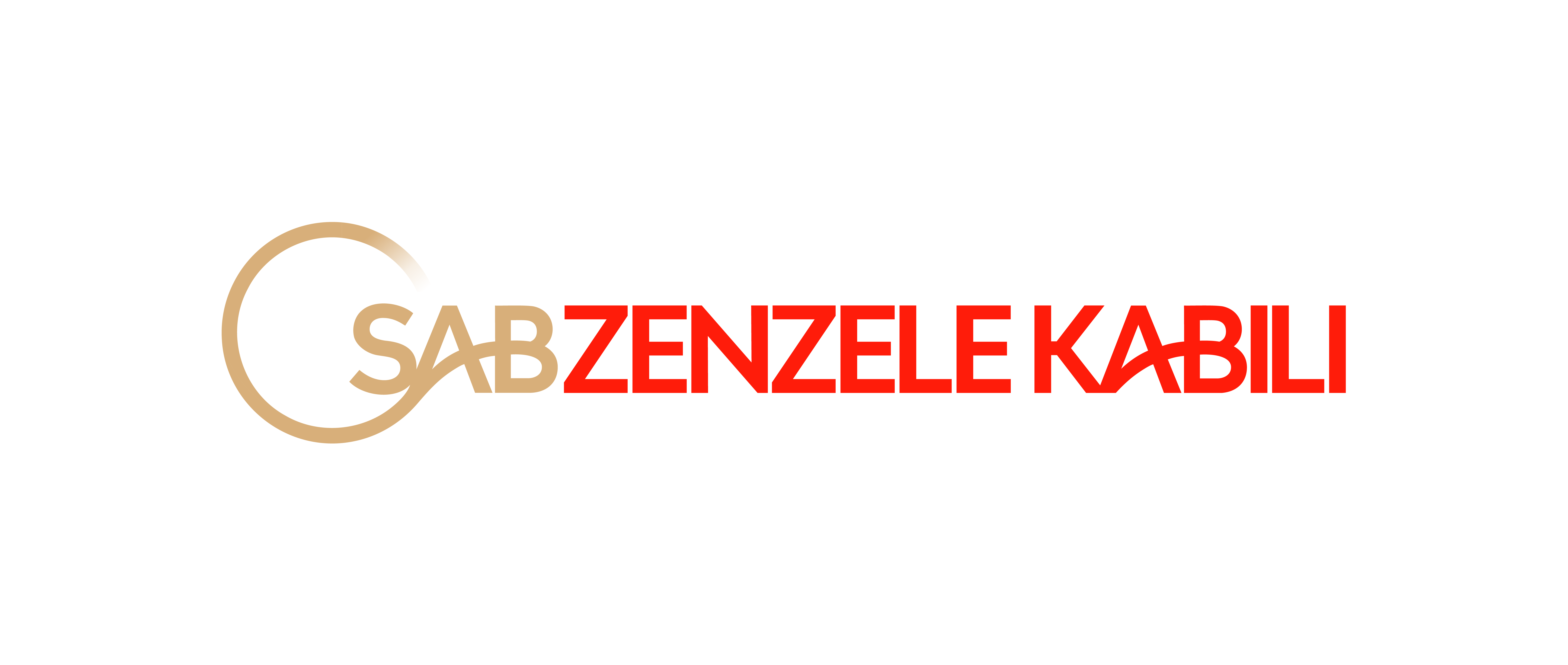 SAB Zenzele